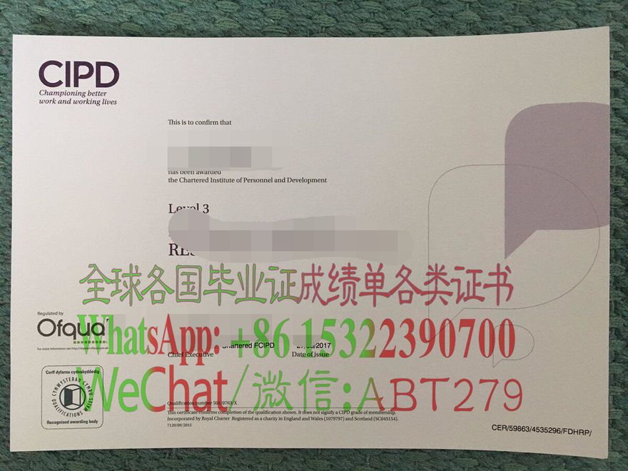 定制CIPD人力资源实践文凭 定制CIPD人力资源实践文凭
