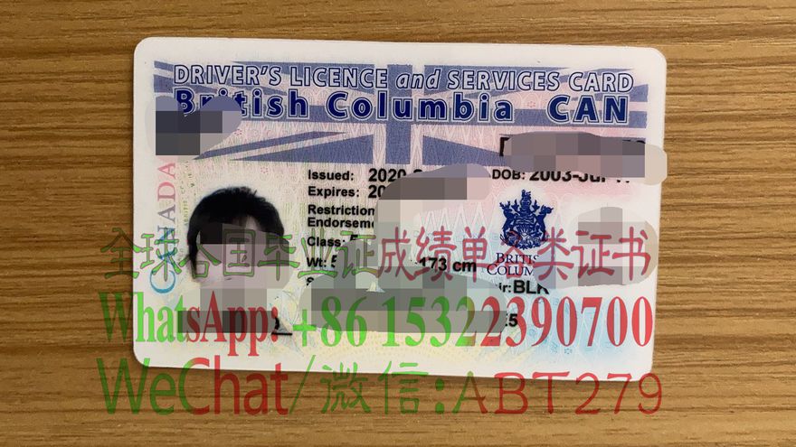 澳洲大不列颠哥伦比亚省驾驶执照哪里能买到 澳洲大不列颠哥伦比亚省驾驶执照哪里能买到